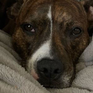 Meet your Posher, Jeff